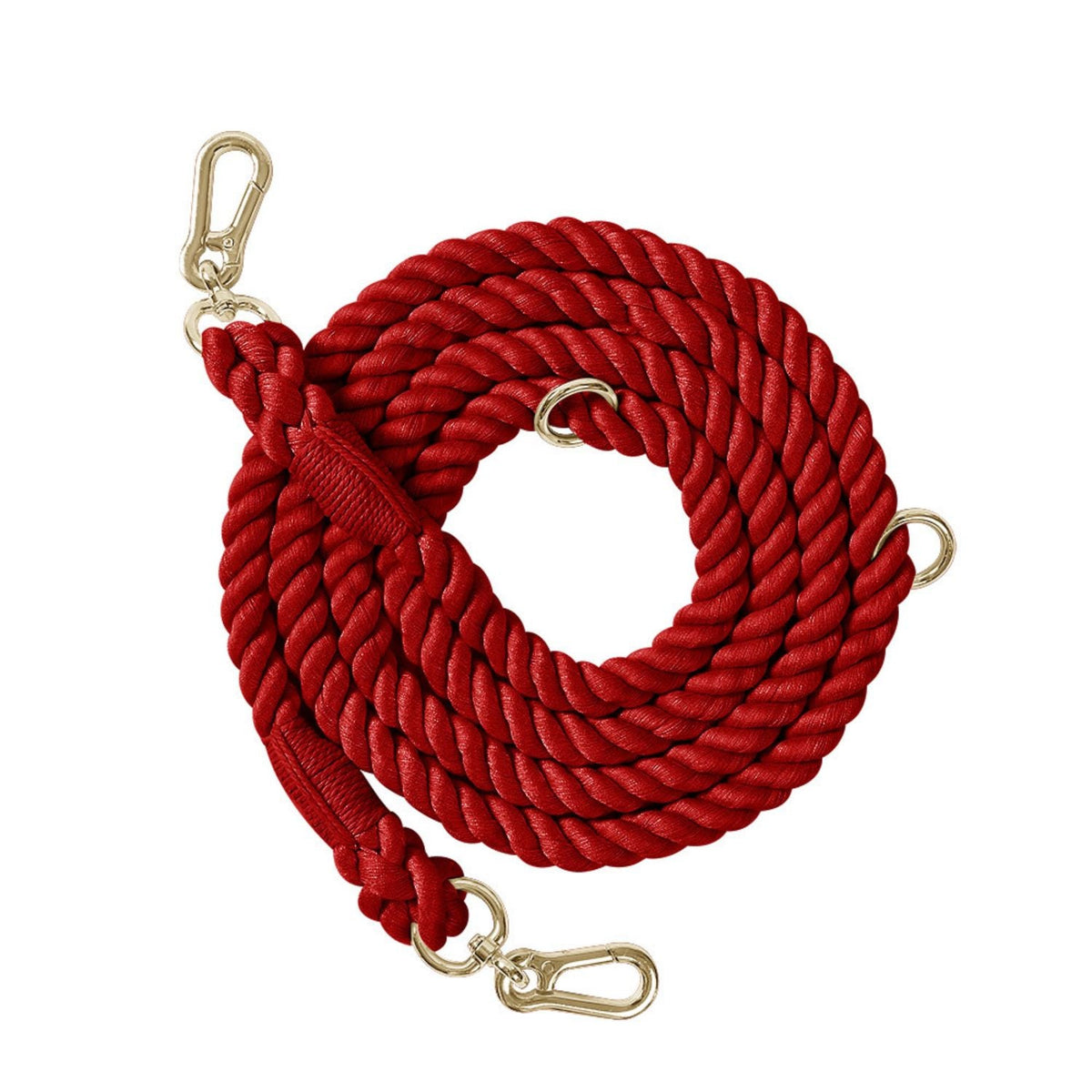 Hands-Free Dog Leash | Strong Walking Lead Also for Medium & Large Dogs