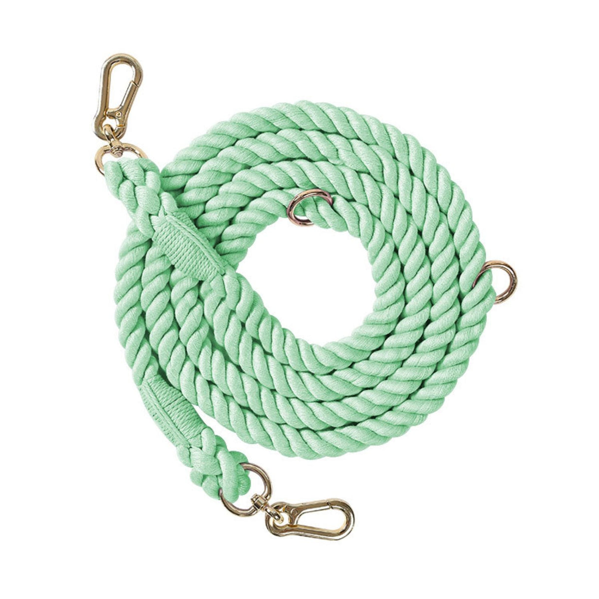 Hands-Free Dog Leash | Strong Walking Lead Also for Medium & Large Dogs
