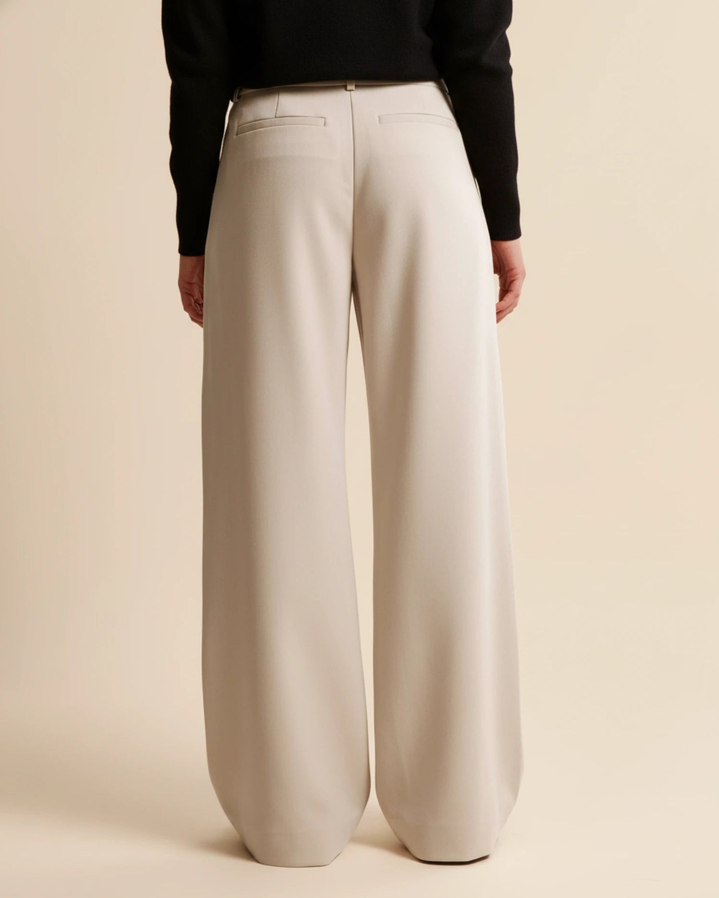 Image of Pam | Women's High-Waisted Pleated Wide Leg Pants