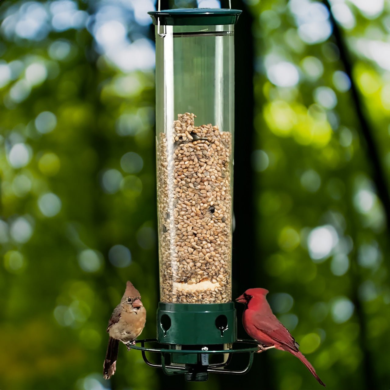 Squirrel-Proof Bird Feeder