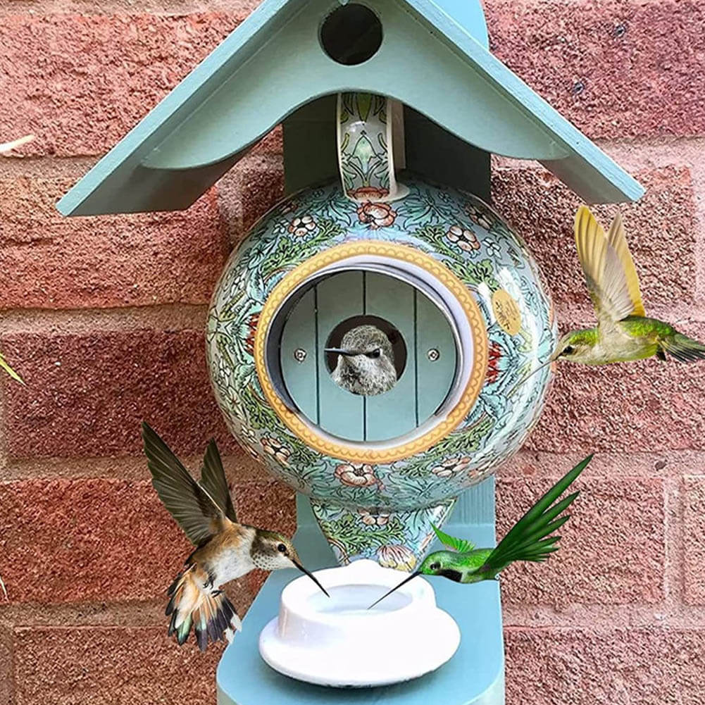 Teapot Birdhouse Feeder