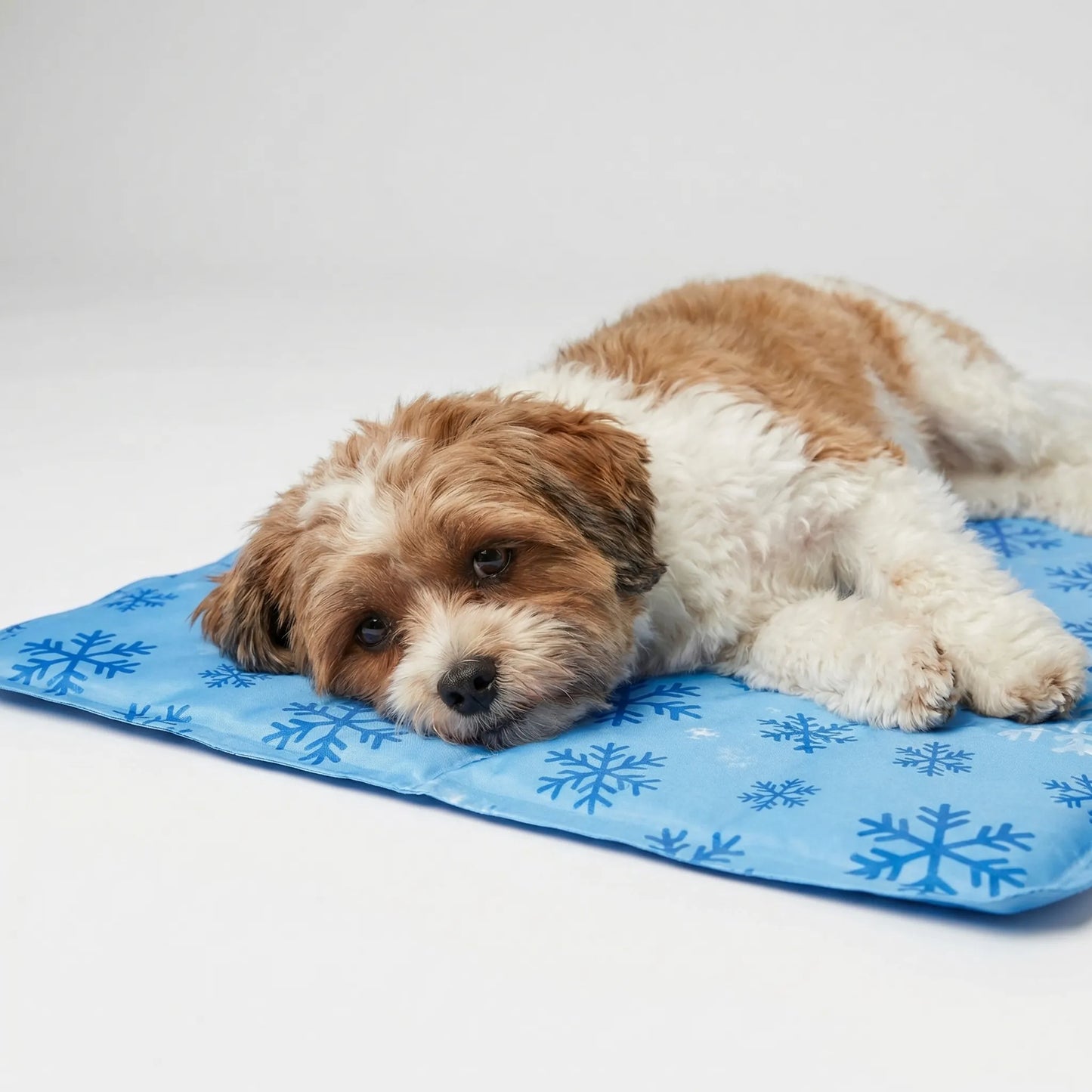 Water-Filled Pet Cooling Mat
